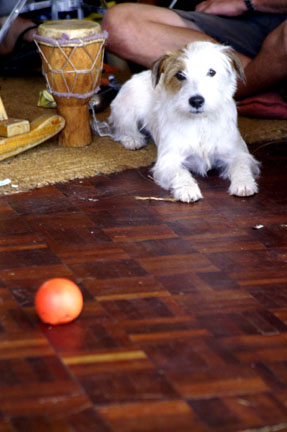PICT0234