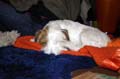 PICT0081